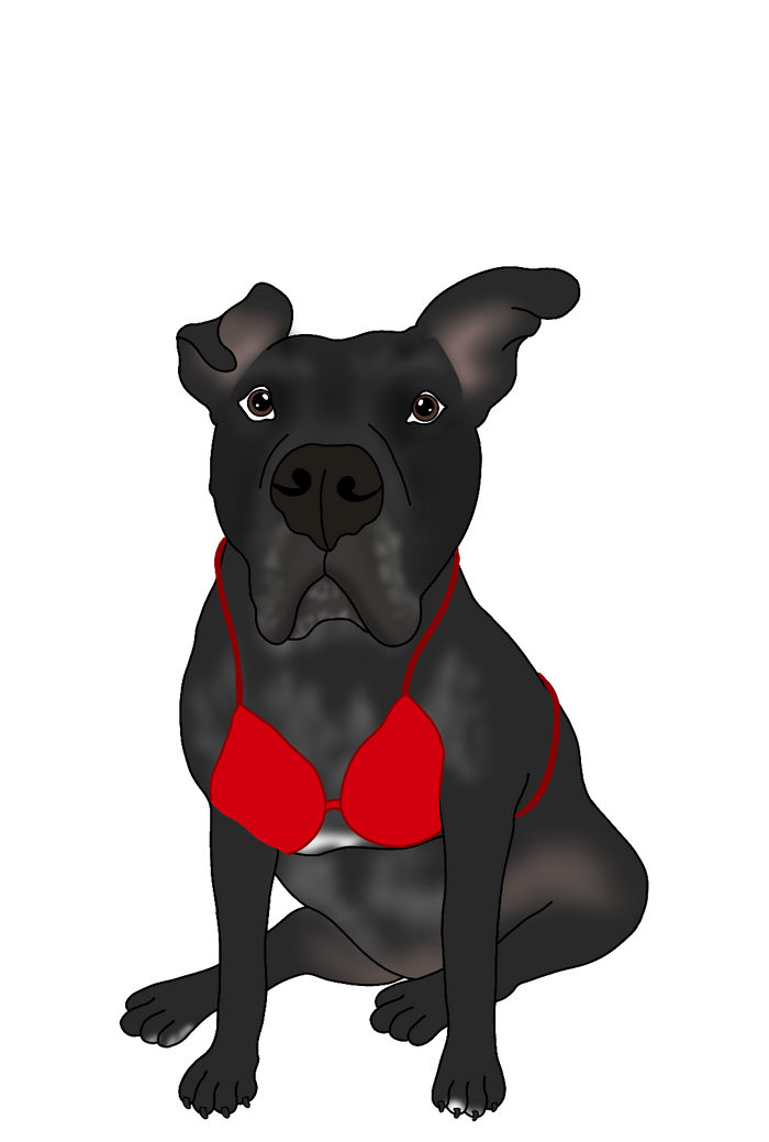 New year new bikini