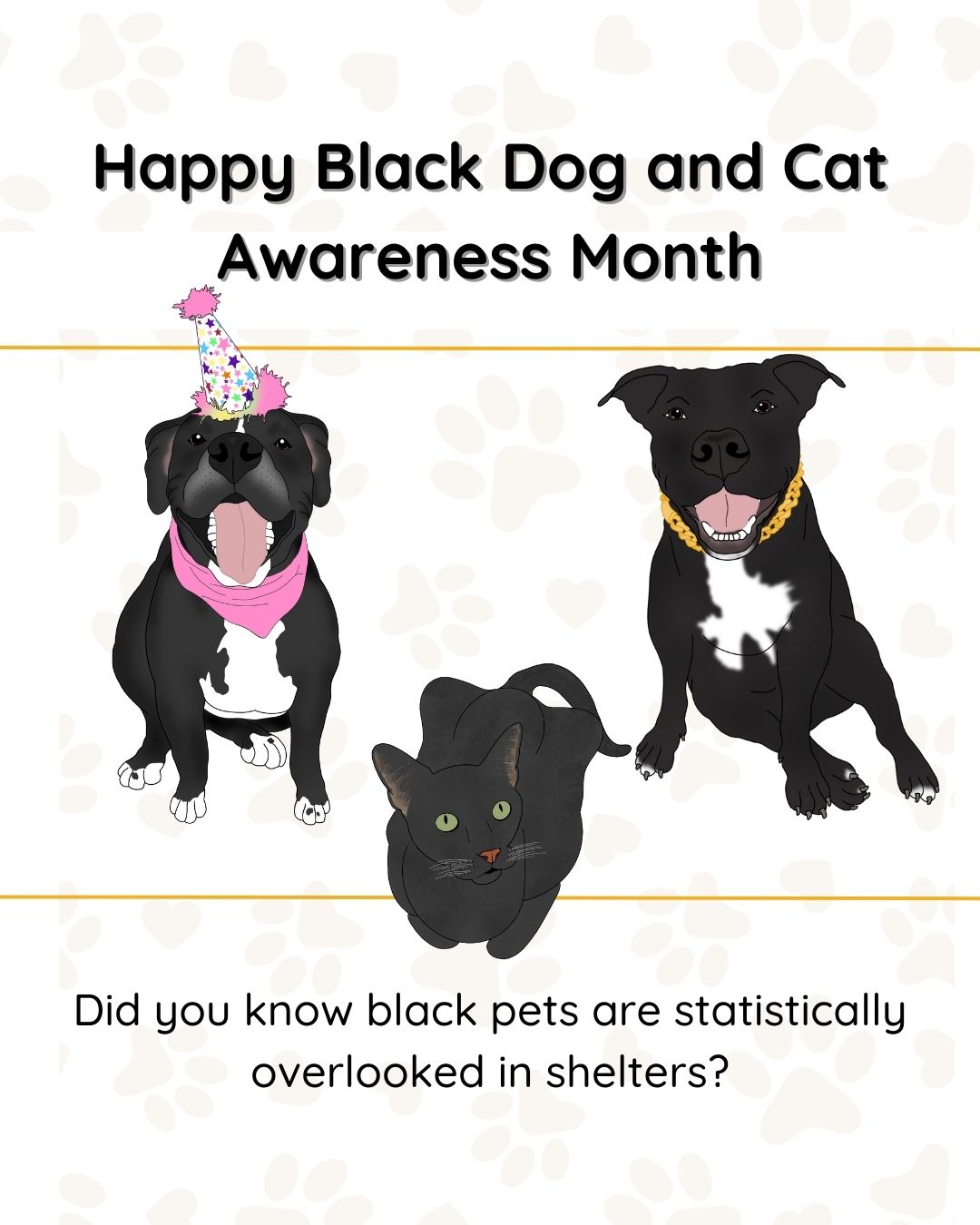 The Truth About Black Dogs & Cats: Why They Need More Love