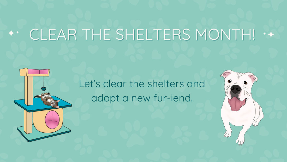 Why Clear the Shelters Month Matters More Than Ever