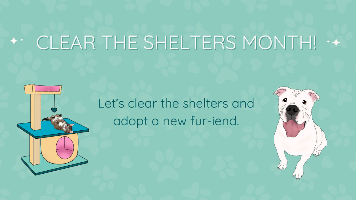 Why Clear the Shelters Month Matters More Than Ever