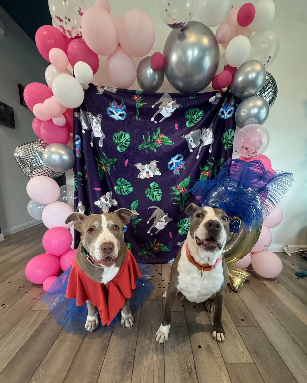Pet Parties Without the Pressure: Dog Birthday Party Ideas That Are Memorable Without Going Over the Top