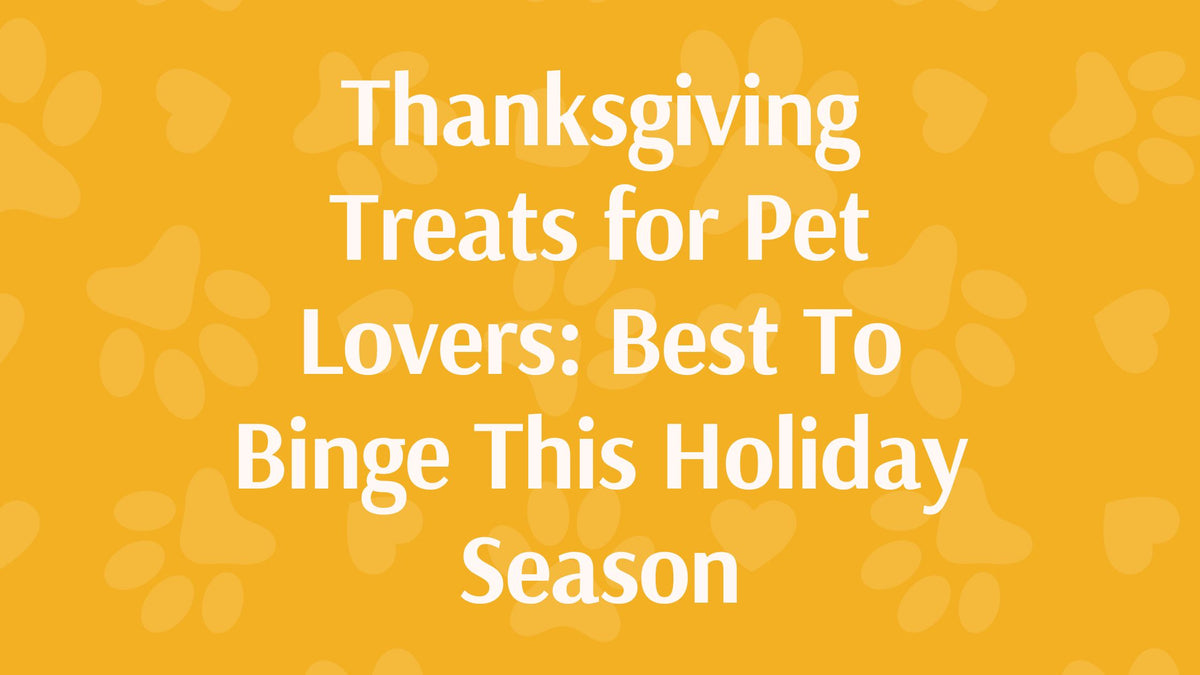 Thanksgiving Treats for Pet Lovers: Best to Watch This Holiday Season