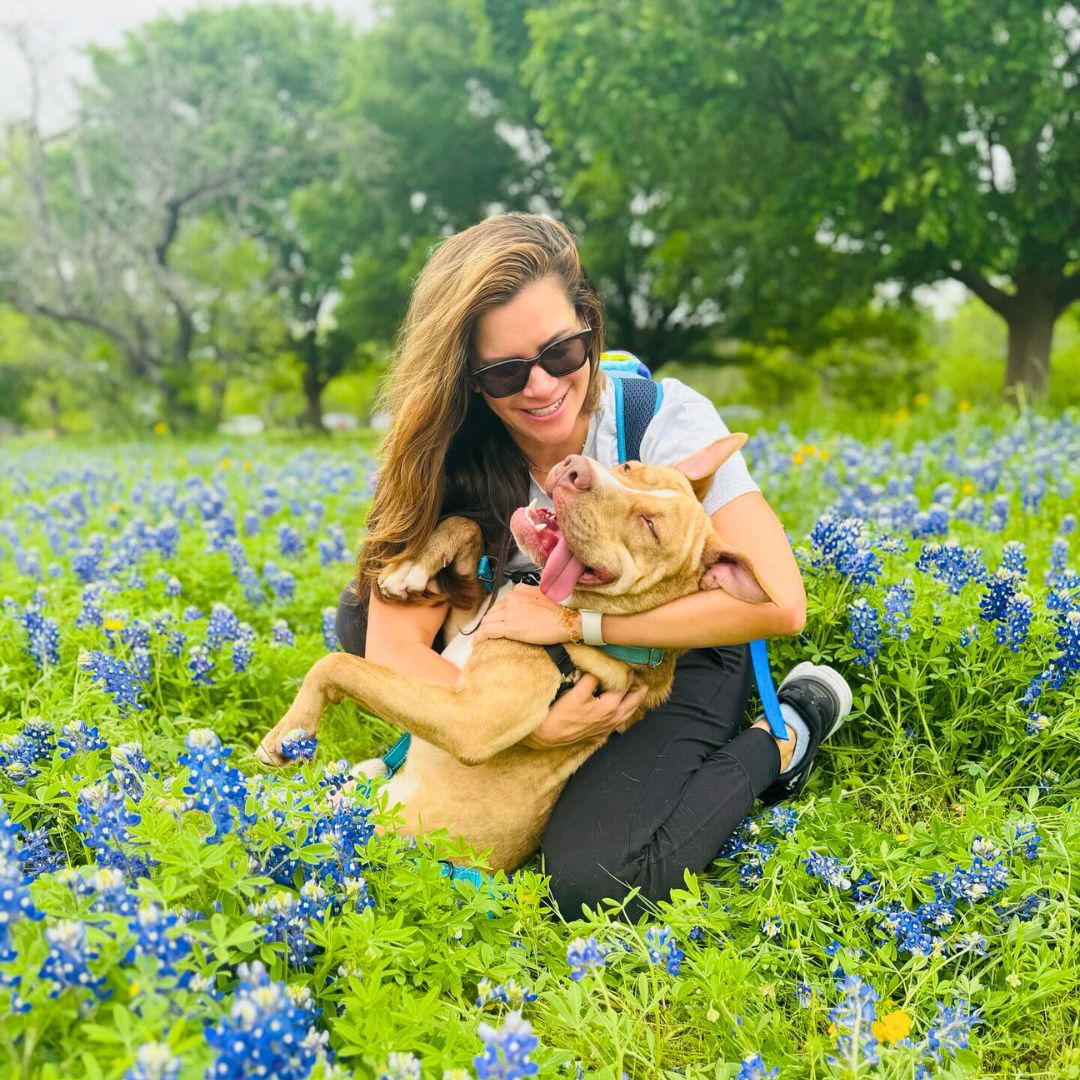 Perfect Matches: Interview with a Pet Matchmaker
