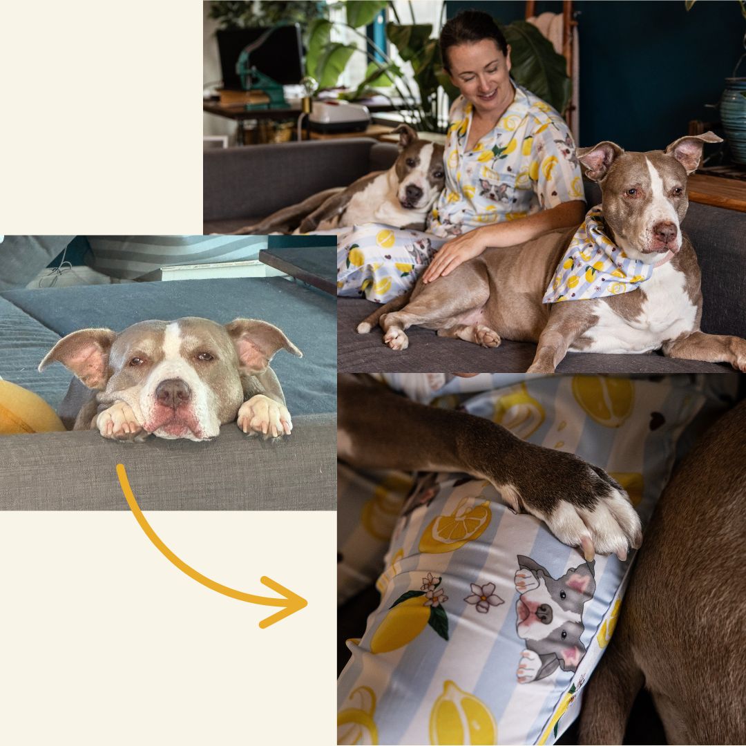 From Doodles to Designs: My Artistic Journey in Custom Pet Portraits and Patterns