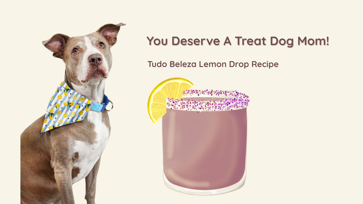 National Dog Mom Treat - Lemon Drop Martini (NA and Cocktail versions)