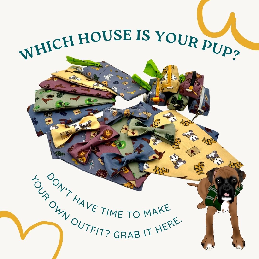 Pawgwarts Pre Order For Watering Bowl Anniversary Party