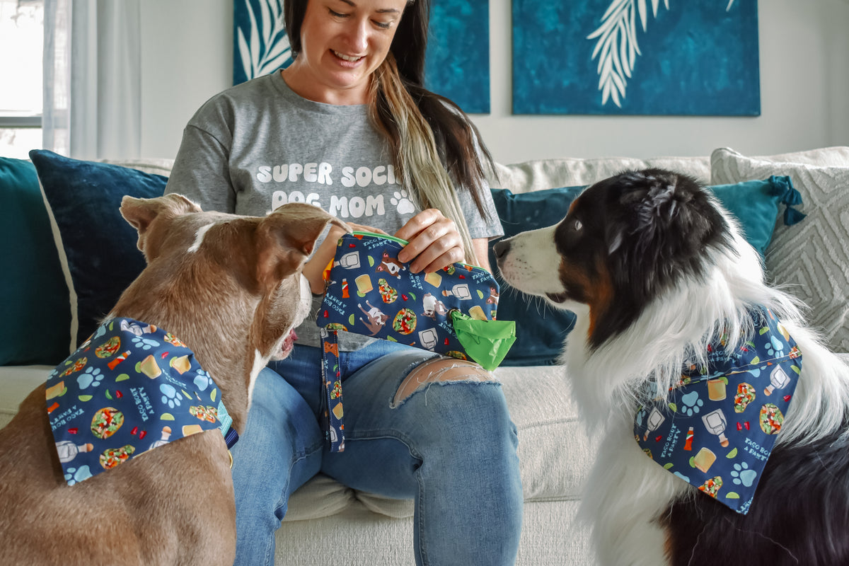 Pet Ready Purses