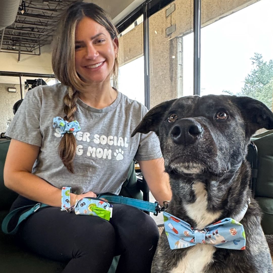 Sweat For Shelter pets - Sailor and Regular
