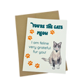 Appreciation Cards