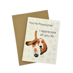 Appreciation Cards