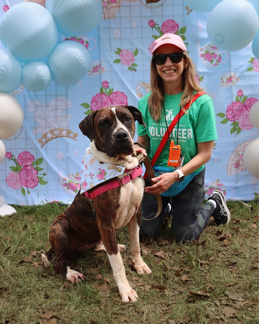 POP Pet Party Bandanas