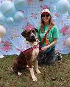 POP Pet Party Bandanas