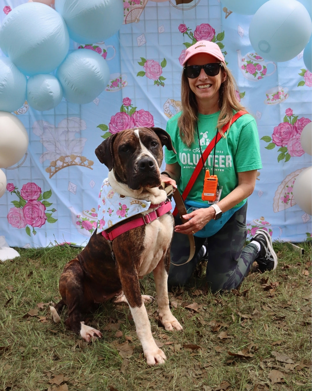 POP Pet Party Bandanas