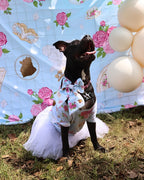POP Pet Party Bows - Sailor and Regular | POP Party Theme