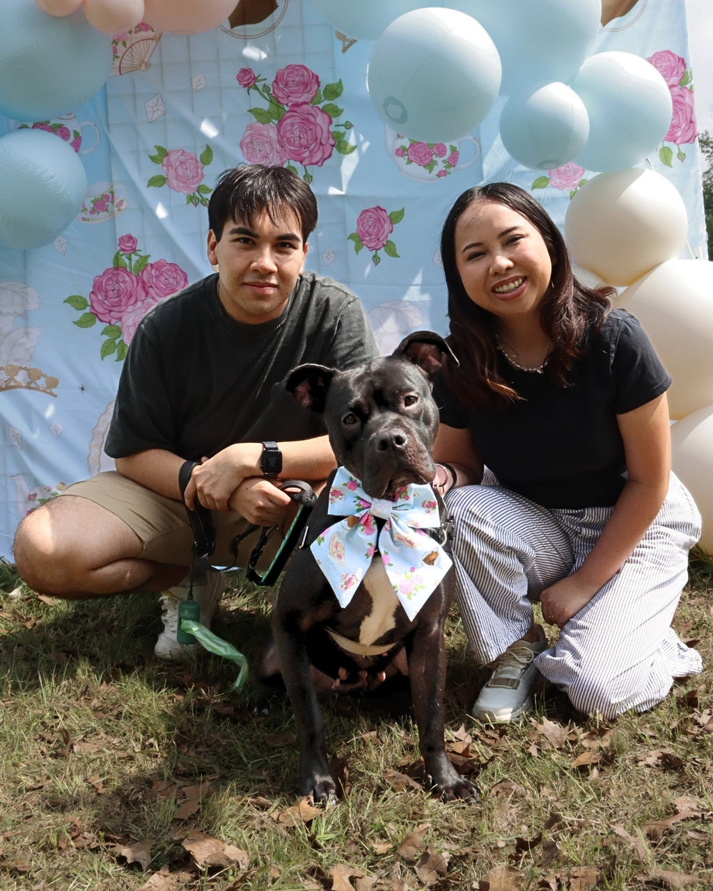 Barkerton Party Guide | Throw-It-Yourself Dog Birthday & Garden Party Experience