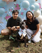 Barkerton Party Guide | Throw-It-Yourself Dog Birthday & Garden Party Experience