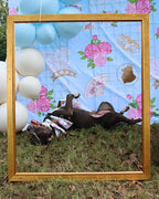Barkerton Party Guide | Throw-It-Yourself Dog Birthday & Garden Party Experience