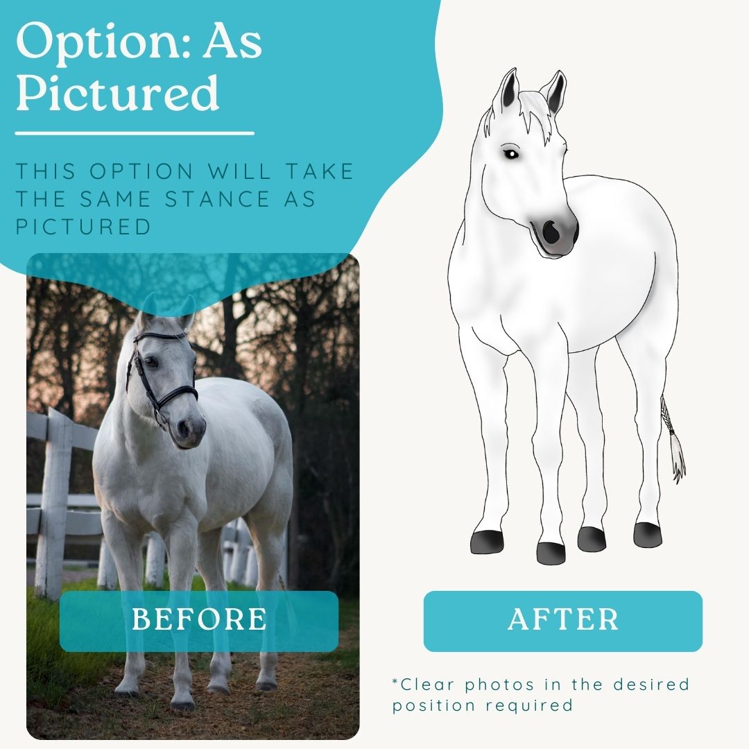 Custom Pet Portrait