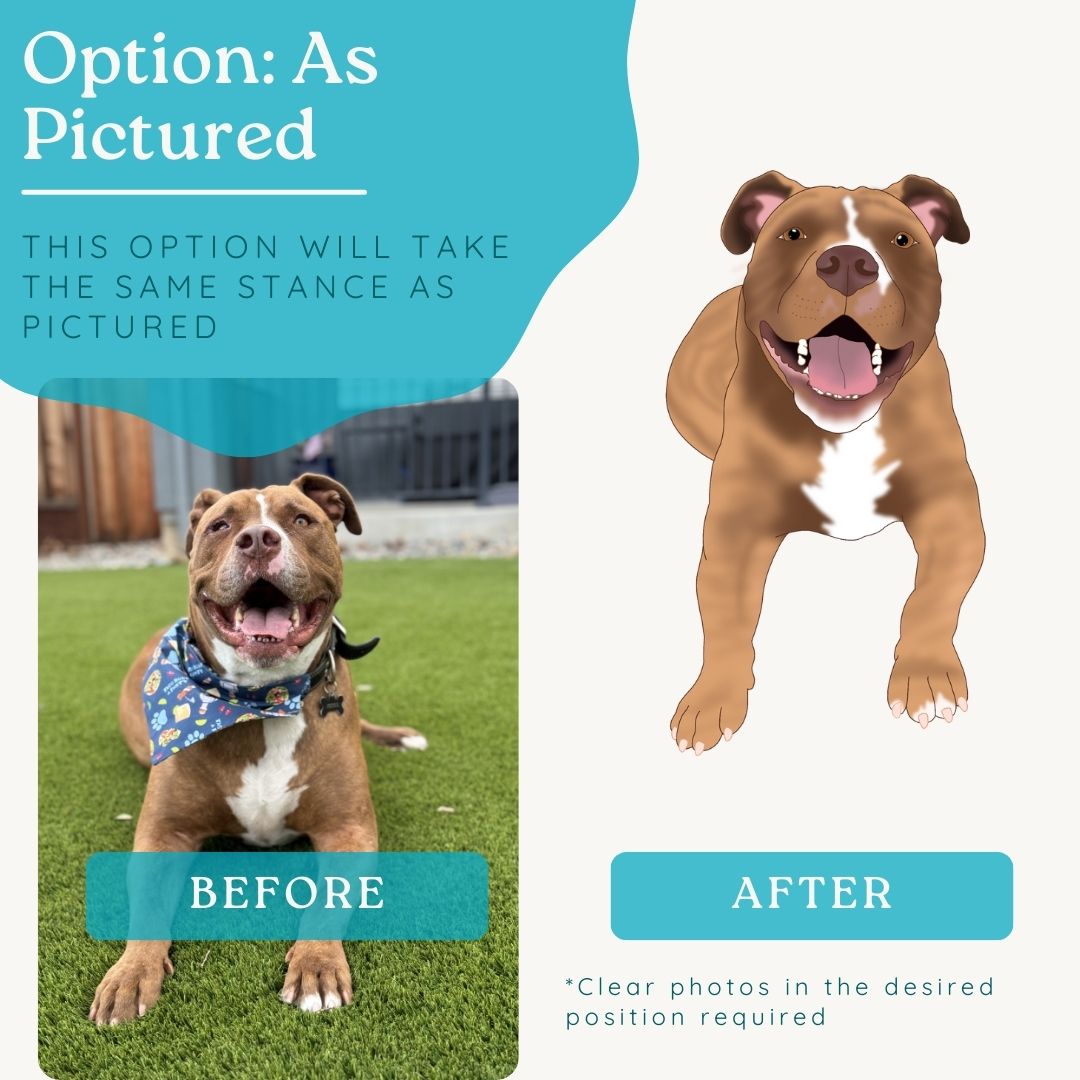 Custom Pet Portrait