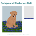 Custom Pet Portrait