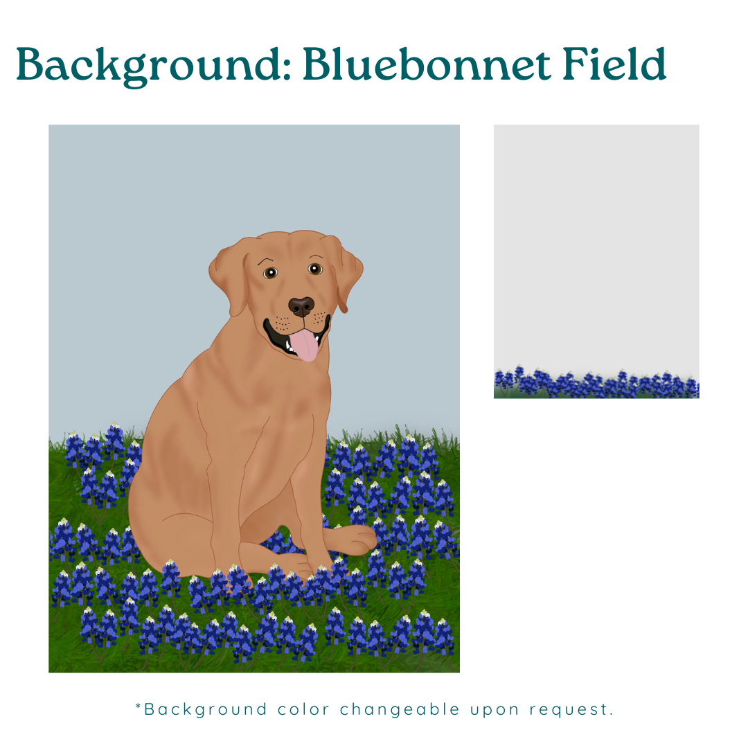 Custom Pet Portrait