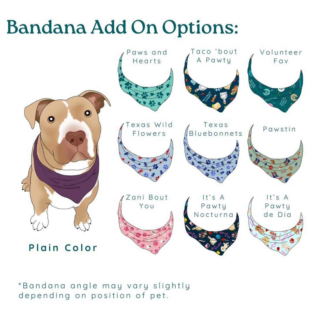 Custom Pet Portrait