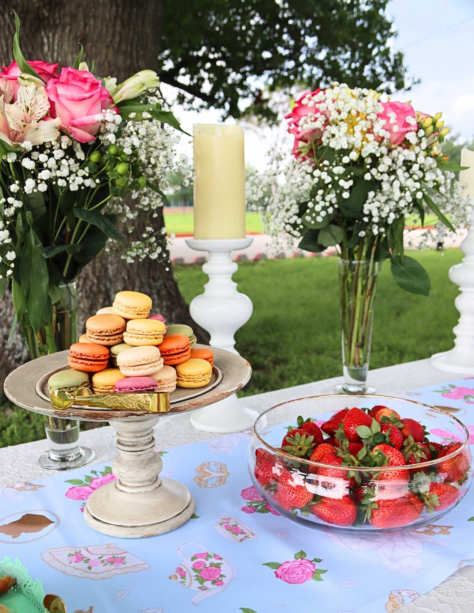 Barkerton Party Guide | Throw-It-Yourself Dog Birthday & Garden Party Experience