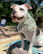 i Love-A-Bull so much - Pet Bandanas