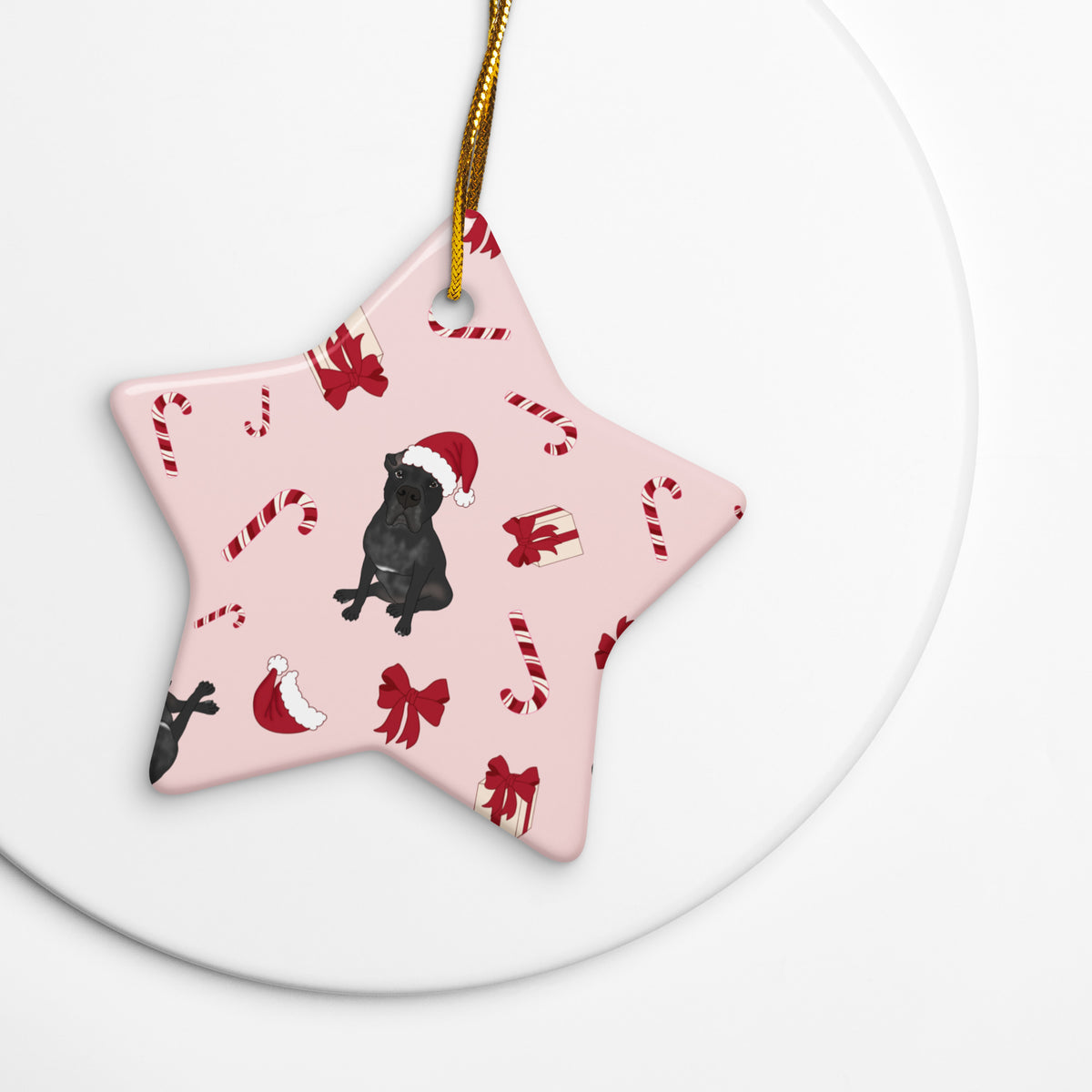 Custom Pet Ceramic Ornament