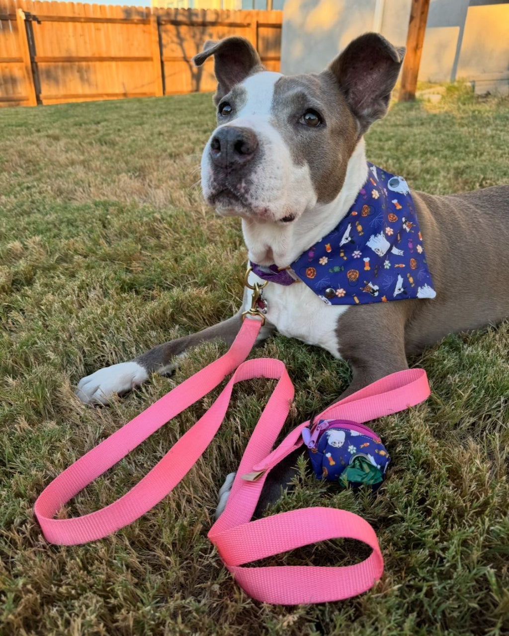 Ready Made Howl-loween Bandana