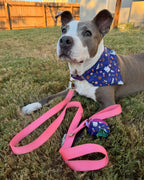Ready Made Howl-loween Bandana