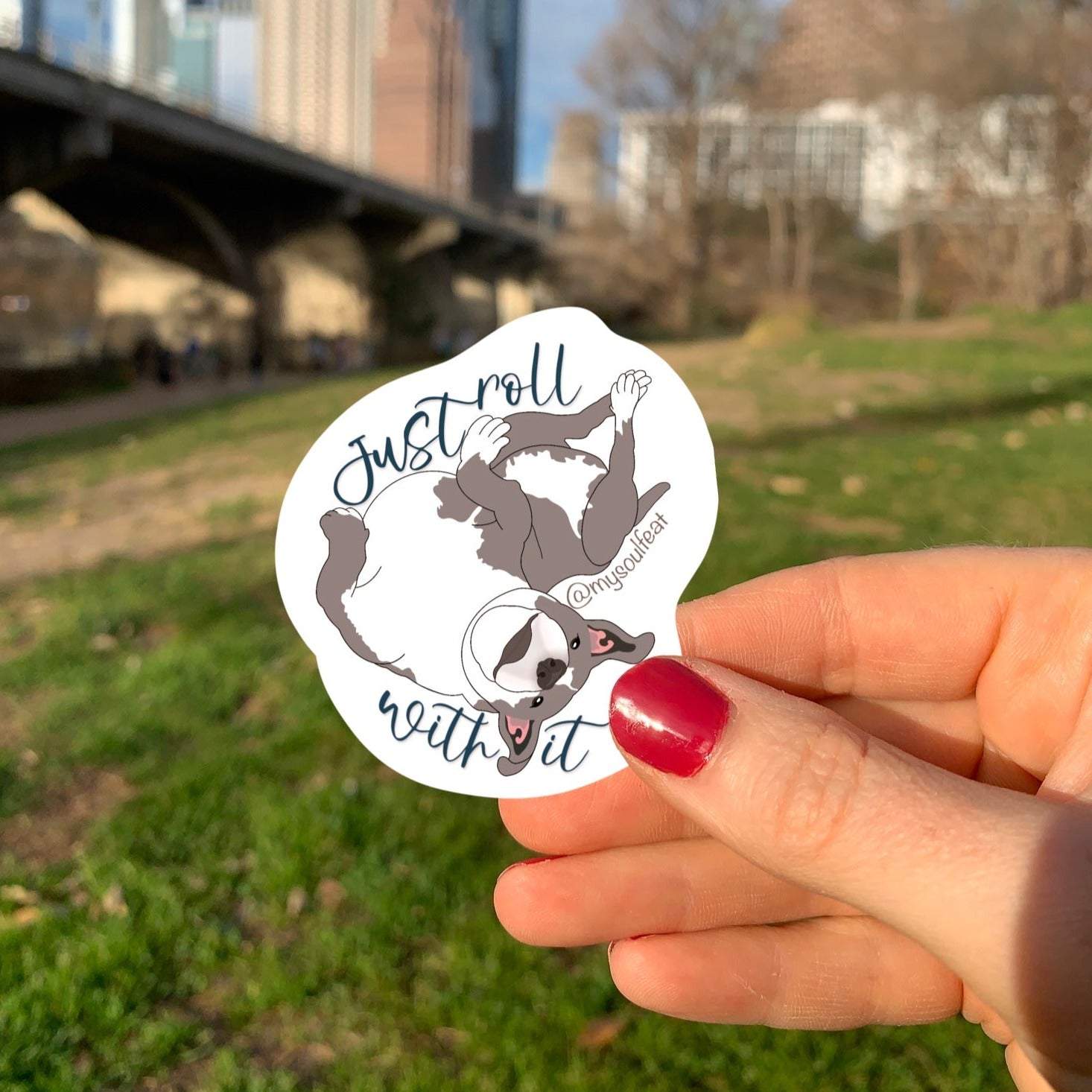 Austin Pet's Alive Adopted Girly Girl | Just Roll With It | Soul Feat