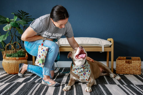 Ultimate Pawstin I Love You So Much Bundle