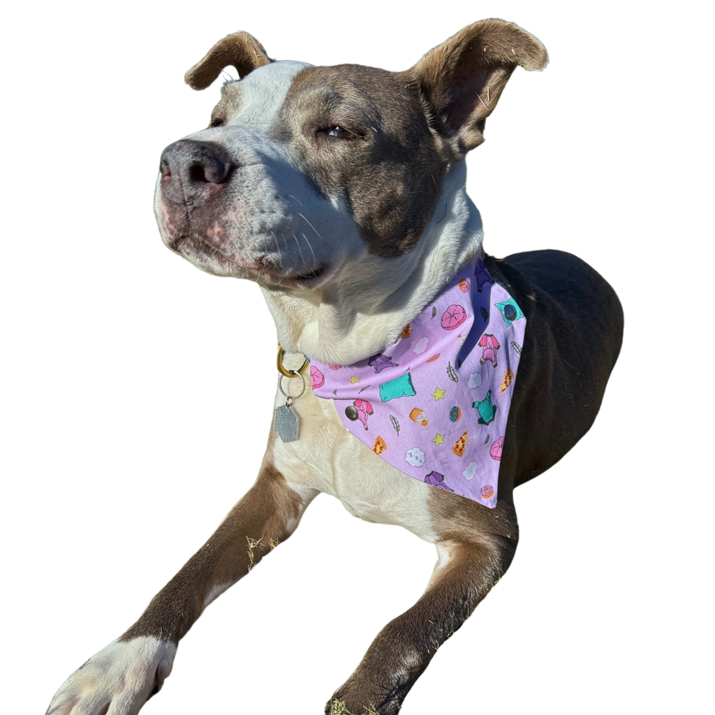 POP Pet Party Bandanas