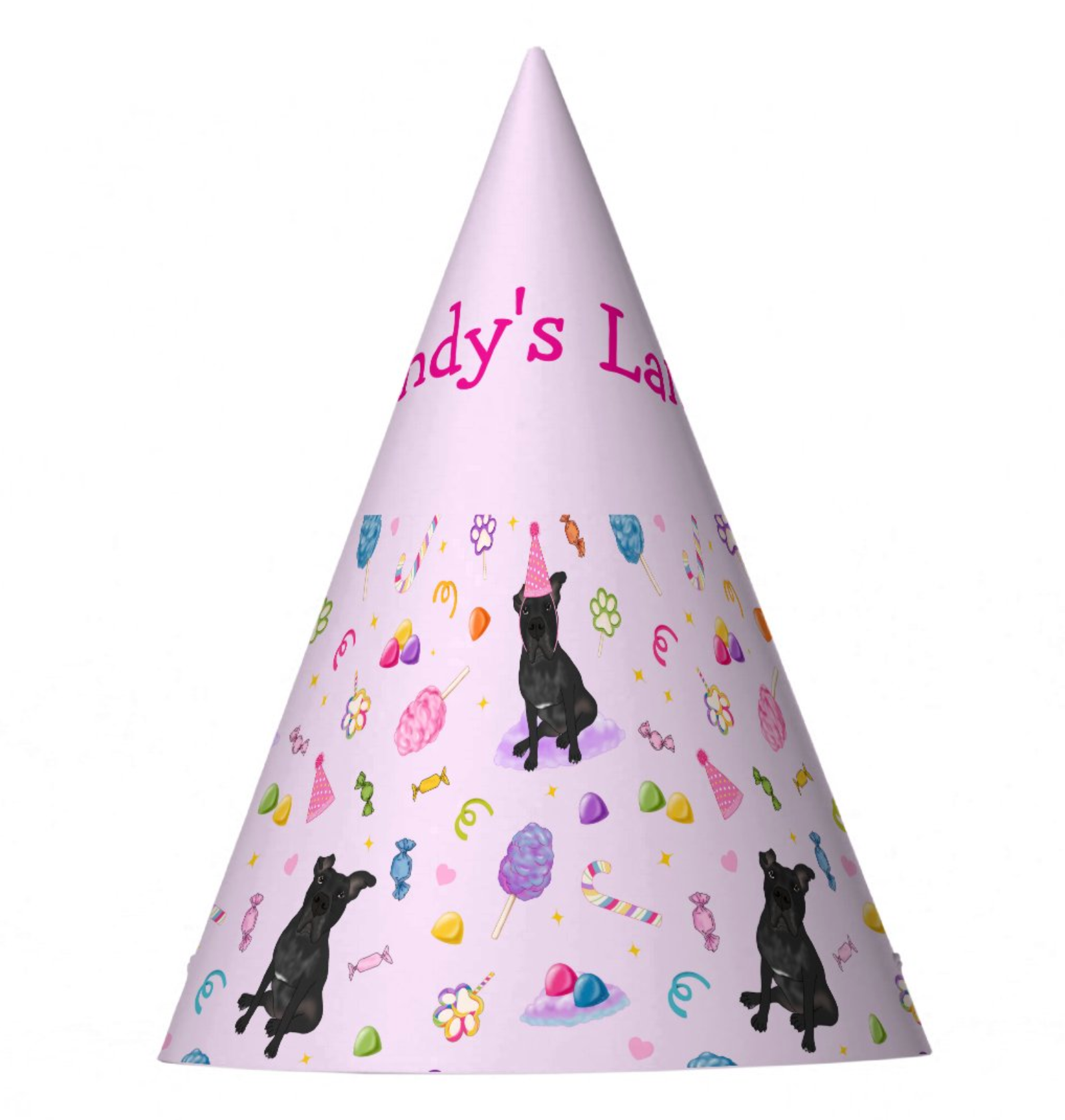 Custom Paper Party Hats