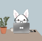 Custom Pet Portrait