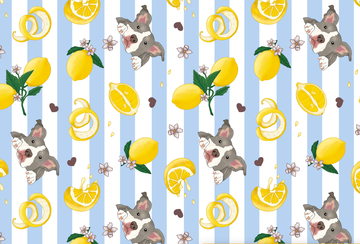 A new pattern for pet people