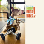 Sweat For Shelter pets - Sailor and Regular