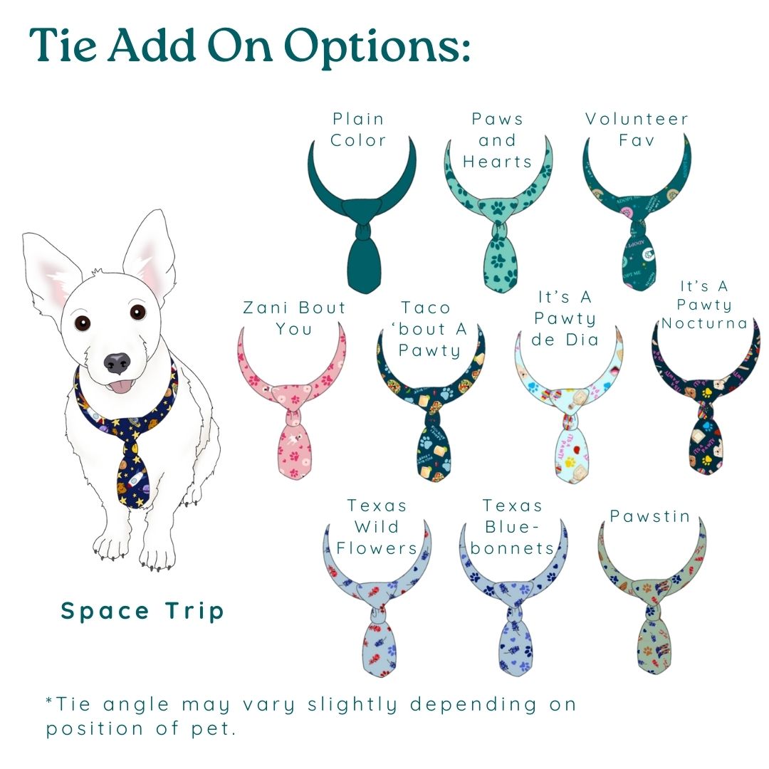 Custom Pet Portrait