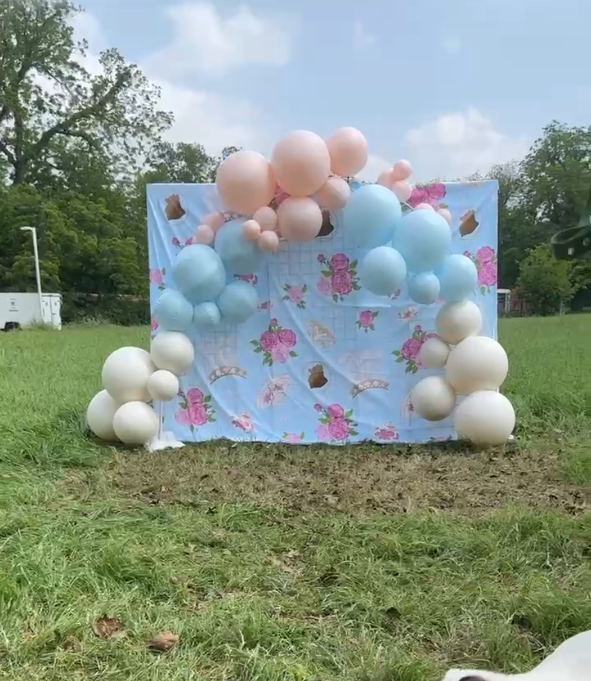 Party Blanket Backdrop - POP Party Patterns