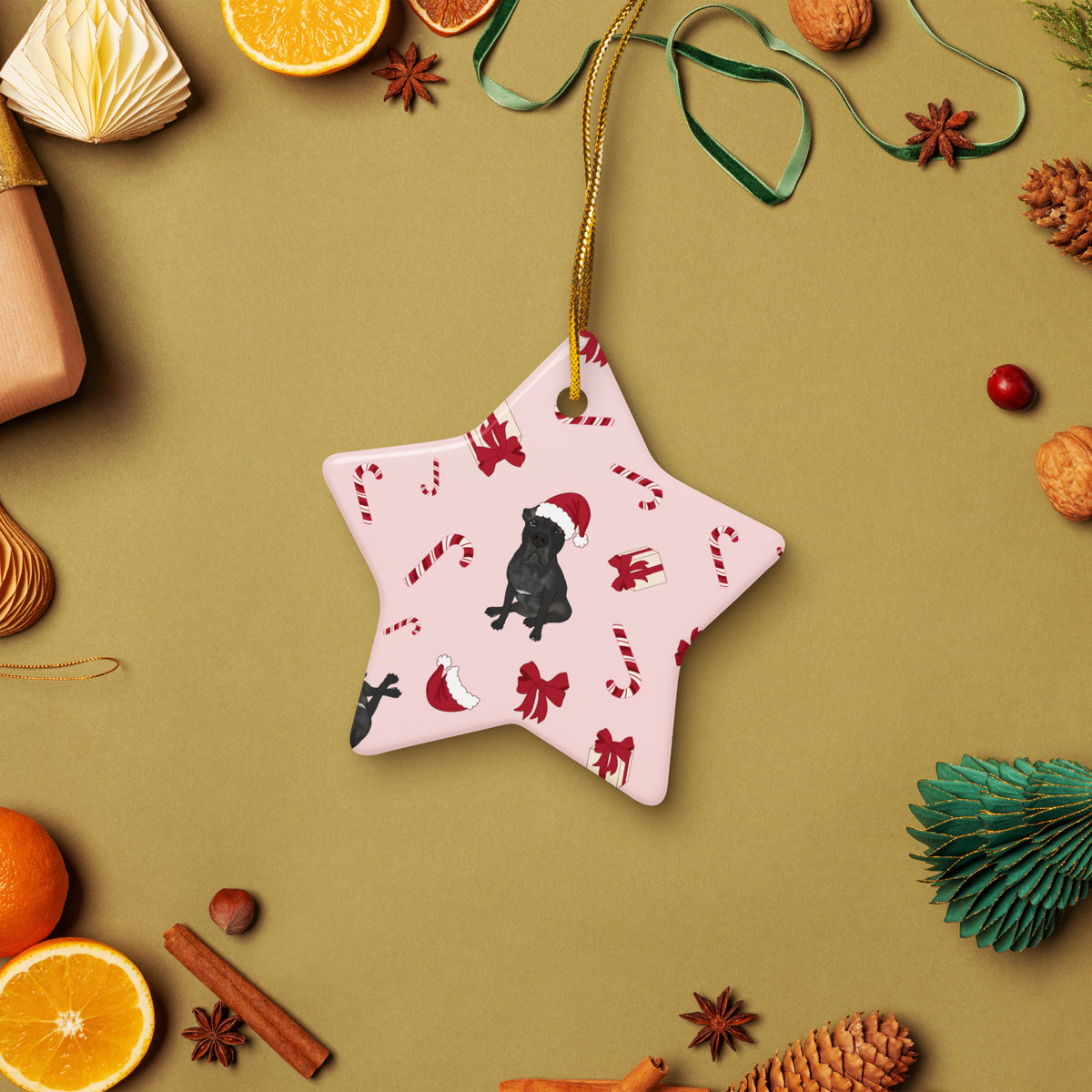 Custom Pet Ceramic Ornament