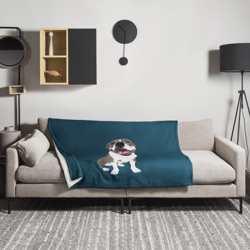 Custom Pet Blanket - Classic POP Patterns