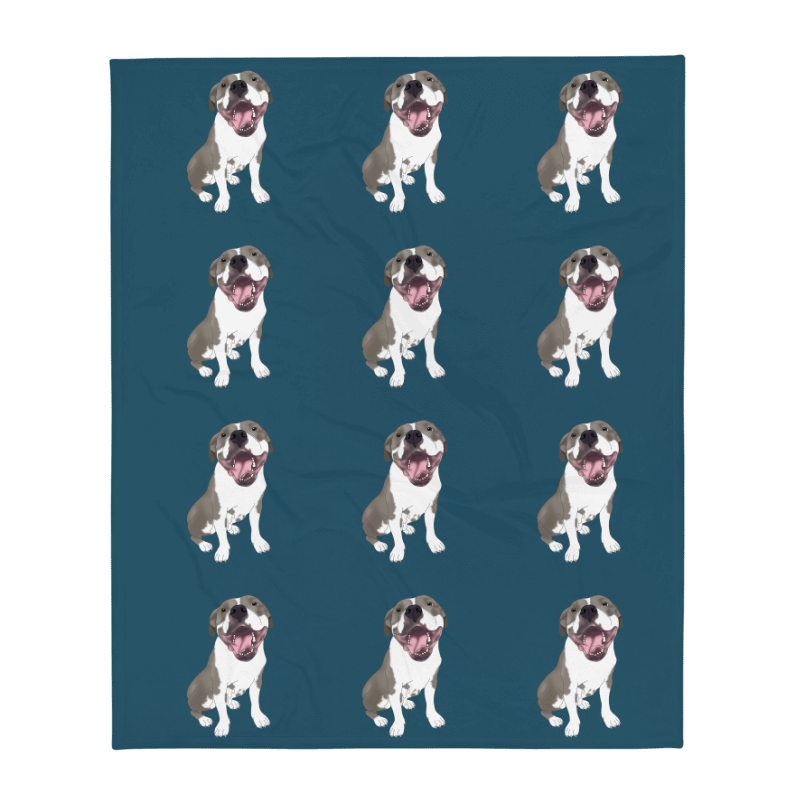 Custom Pet Blanket - Classic POP Patterns