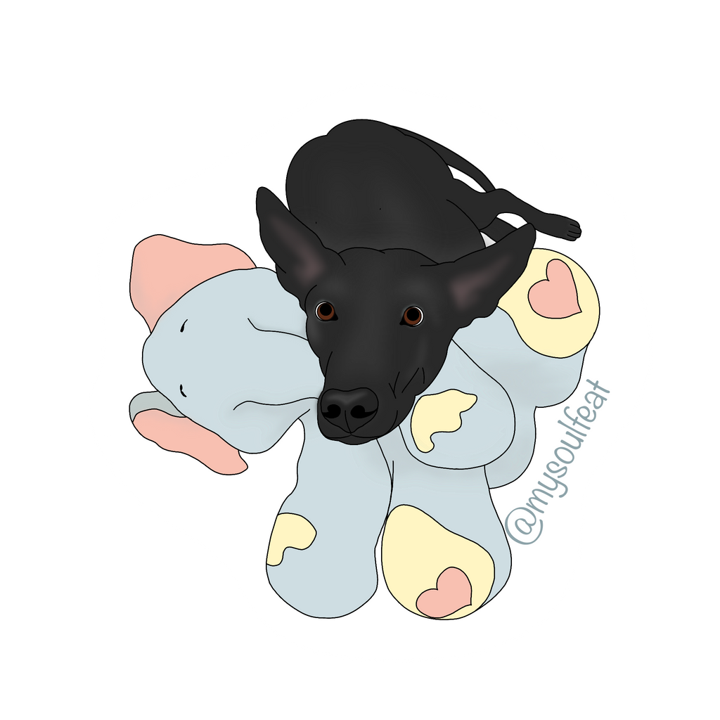 Custom Stickers